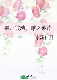 《霖之彼端,曦之彼岸》