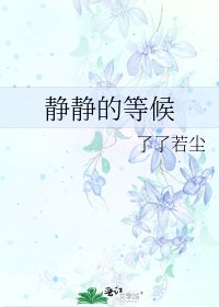 《静静的等候》