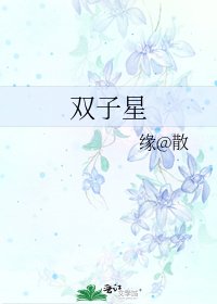 《双子星》