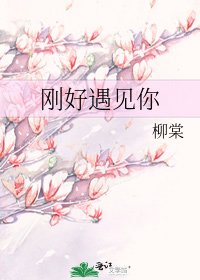 《剛好遇見你》