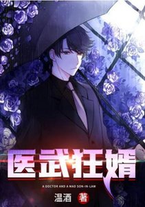 《醫武狂婿》