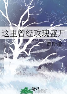 《這裡曾經玫瑰盛開》