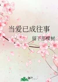 《当爱已成往事》
