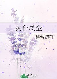 《灵台凤至》