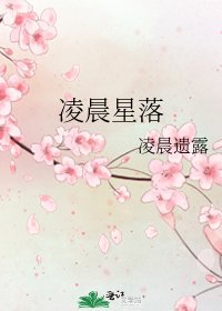 《凌晨星落》
