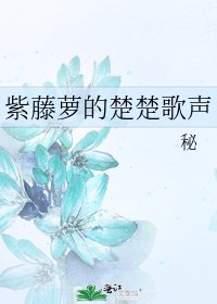 《紫藤蘿的楚楚歌聲》