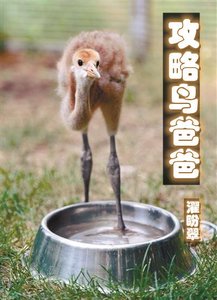 《攻略鸟爸爸》